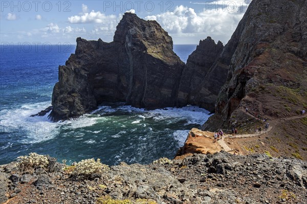 Coastal landscape