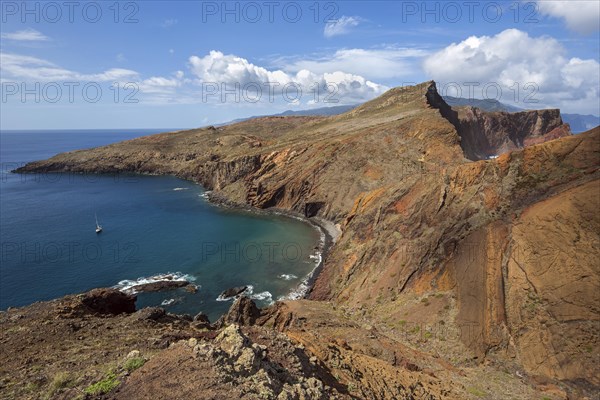 Coastal landscape