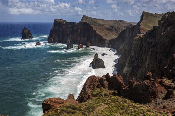 Coastal landscape