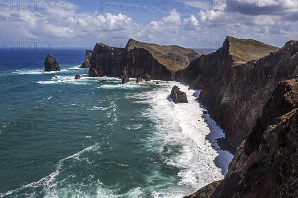 Coastal landscape