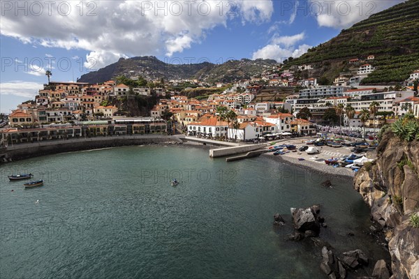 View of Camara de Lobos and the harbour