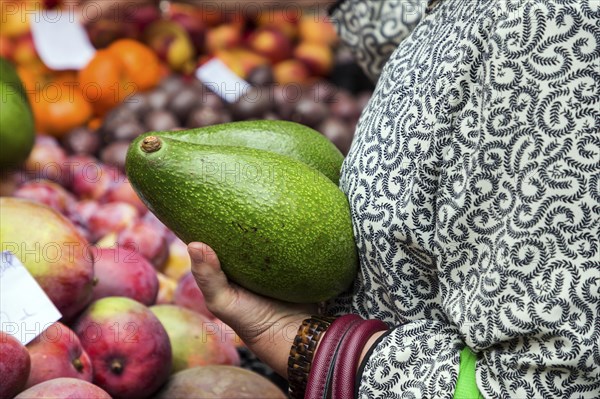 Woman holding two large avocado