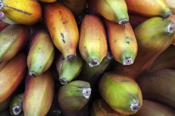 Red bananas