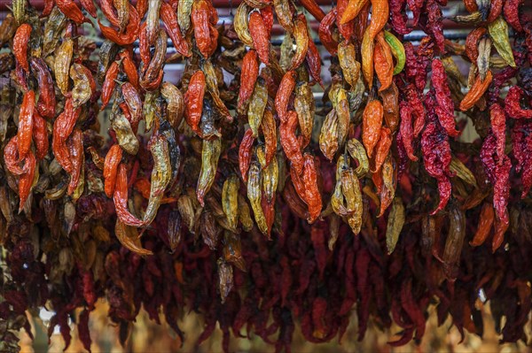 Dried chilli peppers