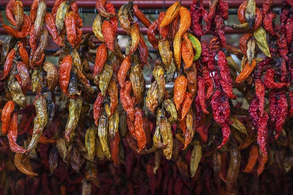 Dried chilli peppers