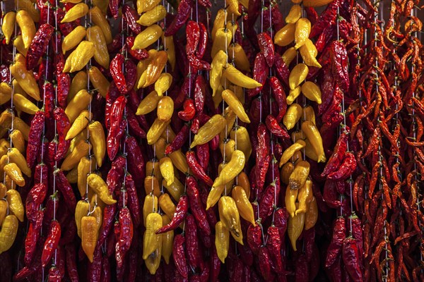 Dried chilli peppers