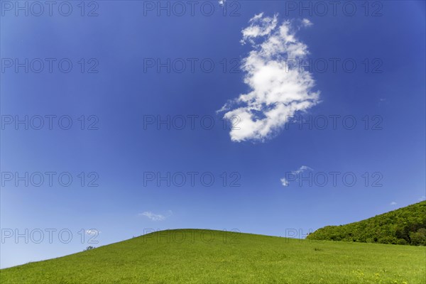 Hill on the Albtrauf with cloud