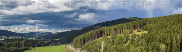 Landscape in the Black Forest