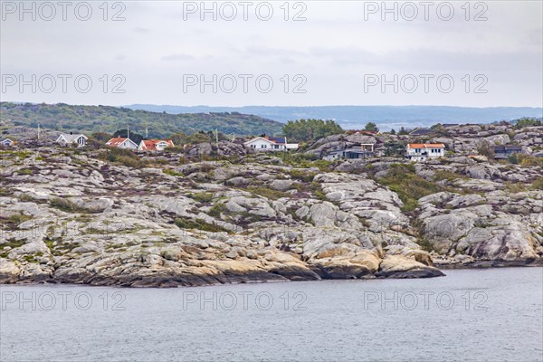 Houses and flowering heath on the island of Galterö