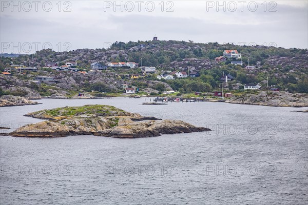 Houses and flowering heath on the island of Galterö