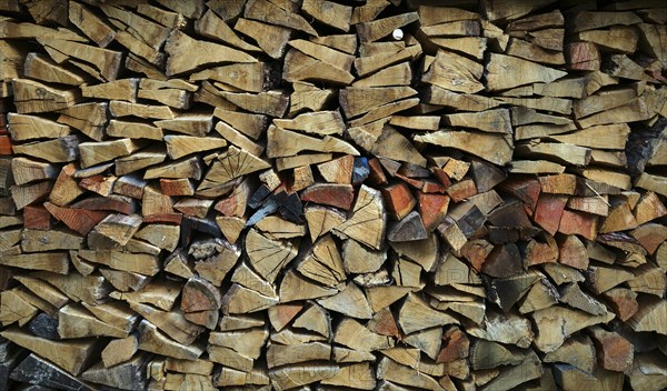 Wood pile