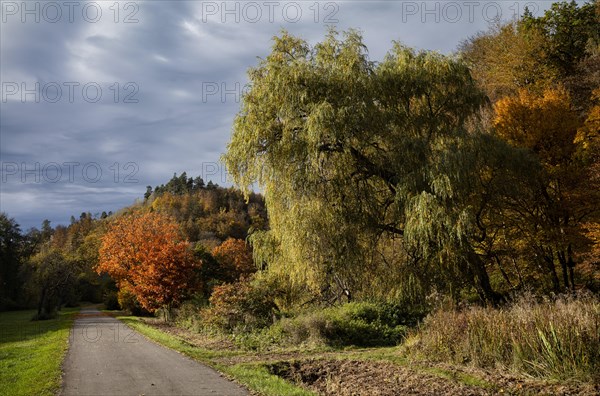 Hiking trail