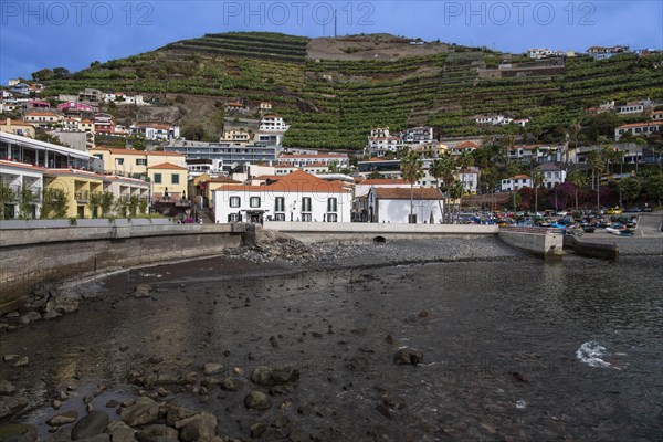 Port of Camara de Lobos