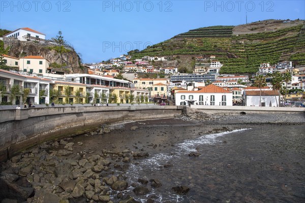 Port of Camara de Lobos