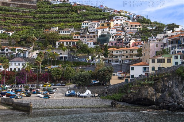 Port of Camara de Lobos