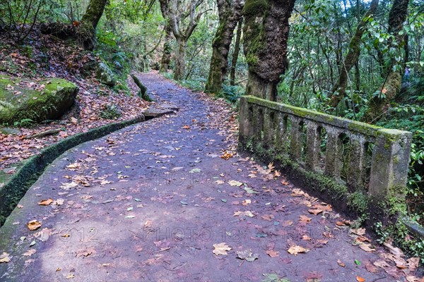 Idyllic hiking trail with levada