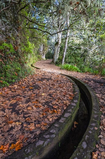 Idyllic hiking trail with levada