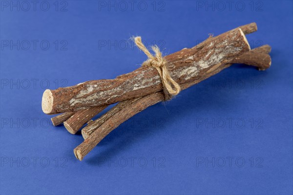 Pile of licorice roots tied with a rope isolated on a blue background