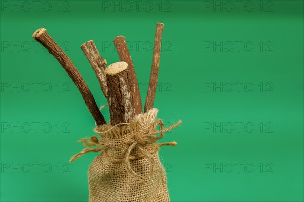 Group of natural licorice roots in a burlap bag isolated on a green background