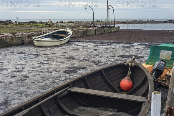 Dead algae and rotten bottom sediment fill up the entire harbor and prevent boats from getting out or entering Hörte harbor on Scania's south coast