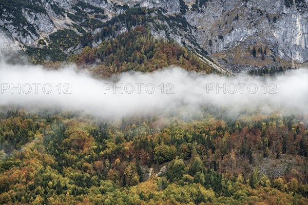 Morning atmosphere at Grundlsee