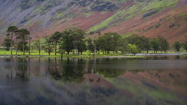 Reflection in Buttermere Lake