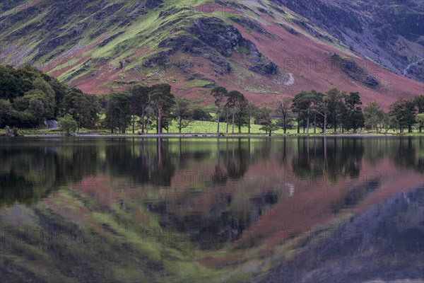 Reflection in Buttermere Lake