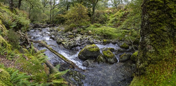 River Derwent