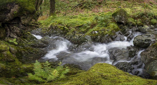 River Derwent