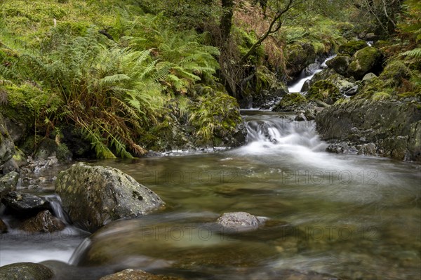 River Derwent