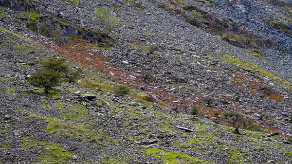 Mountain slopes at Honister Pass