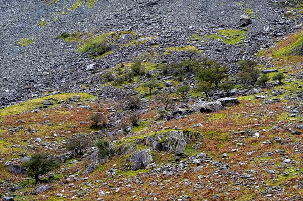 Mountain slopes at Honister Pass