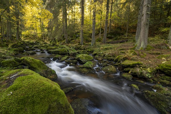 Höllfall river course in autumn