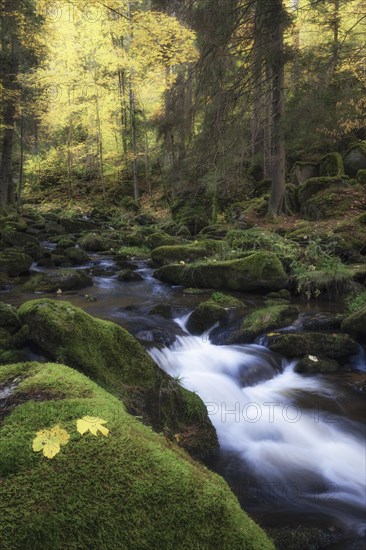 Höllfall river course in autumn