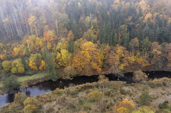 River Kamp in autumn