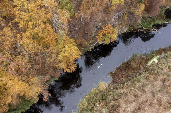 River Kamp in autumn