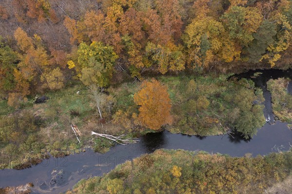 River Kamp in autumn