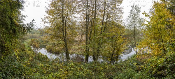 River Kamp in autumn