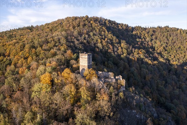 Castle Ruin Schauenstein in autumn