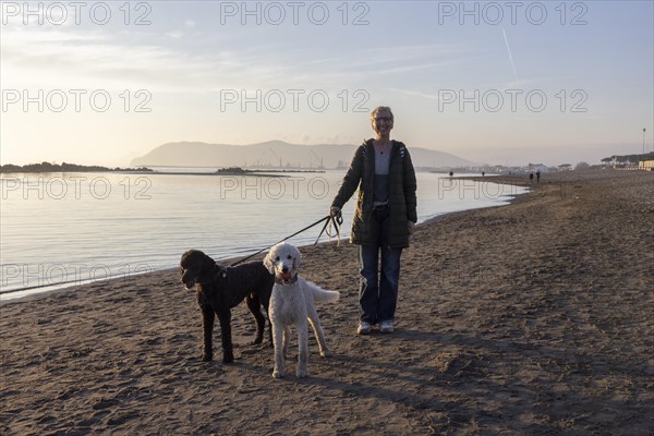 Woman walking with 2 dogs