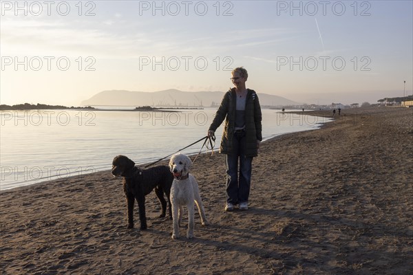 Woman walking with 2 dogs