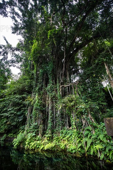 A small temple used for sacred ablutions. Enchanted and covered in moss