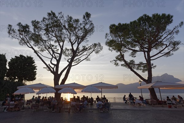 Restaurant terrace under pine trees on the lake shore at sunset
