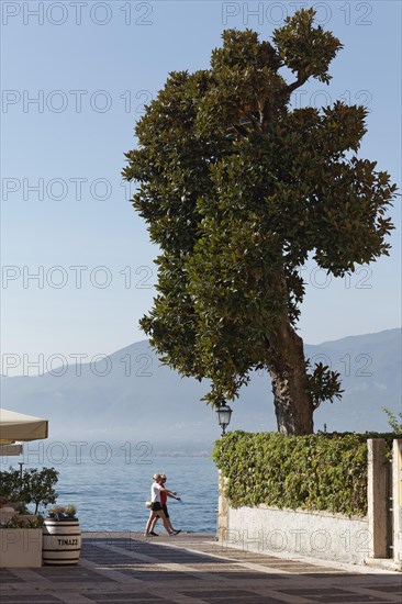 Couple walking in step on the lakeside promenade