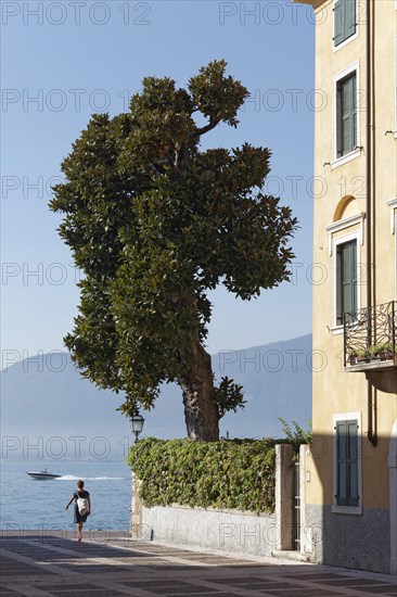 Woman walking to the shore promenade