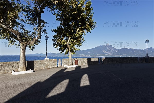 Lakeside promenade with plane trees and shadow of the Scaliger Castle