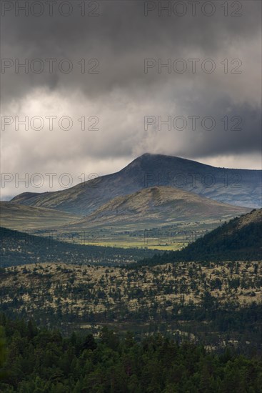 Low Clouds