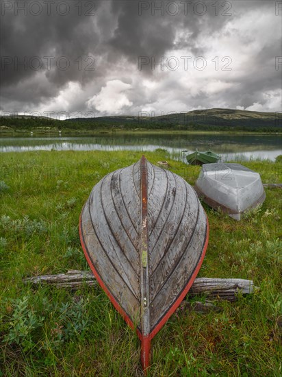 Rowing boat