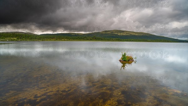 Overgrown rock in lake