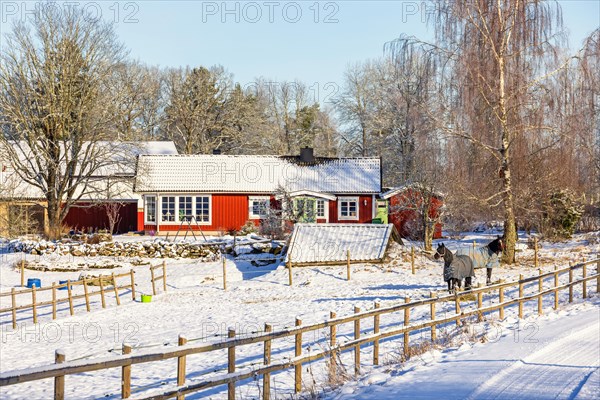 Paddock with horses at a residential house in the country with snow in winter